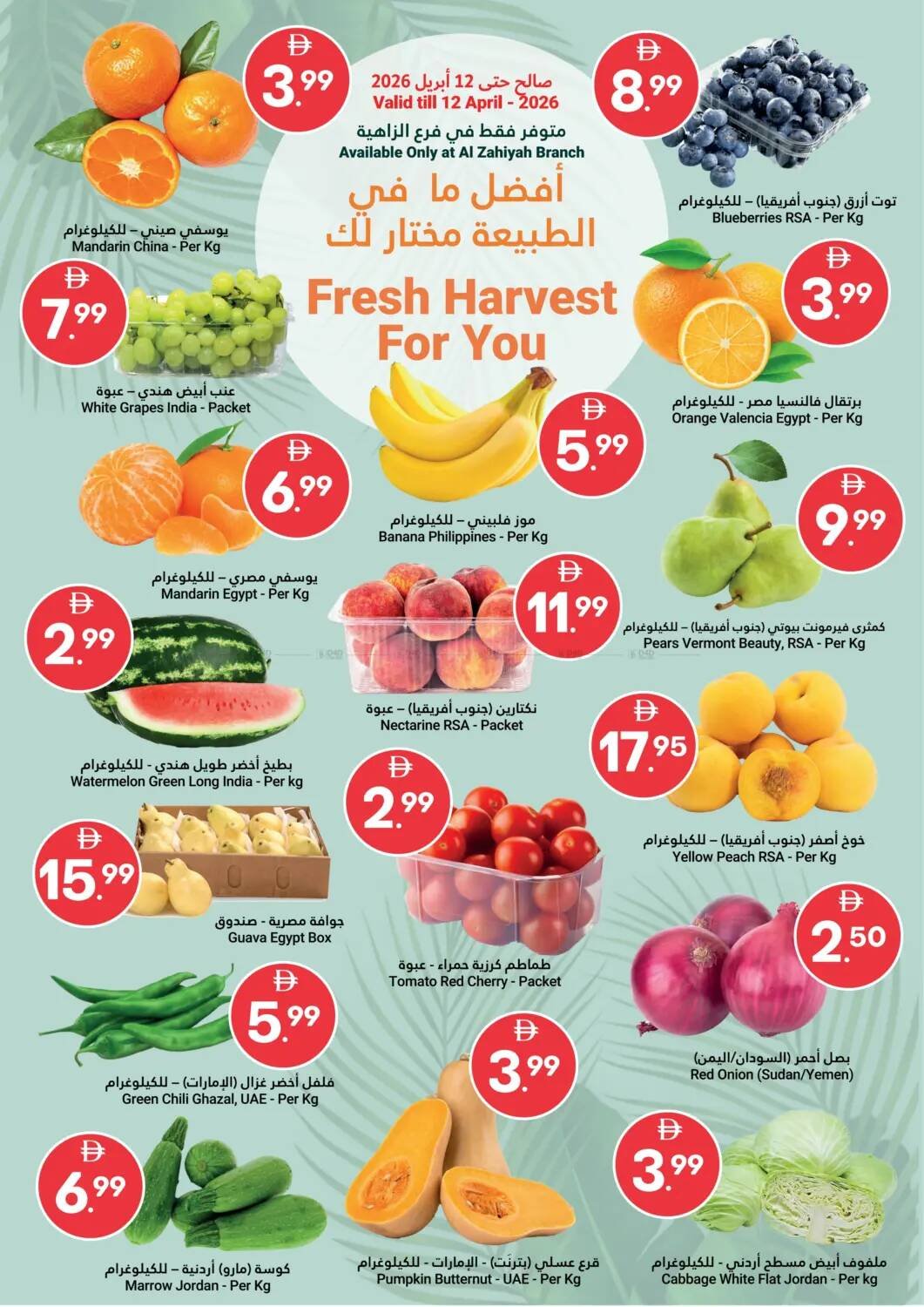 Fresh Harvest For You